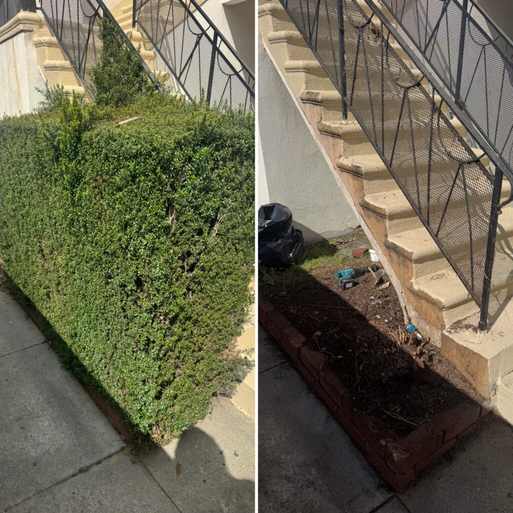 JUNK GIANT Inglewood yard waste removal