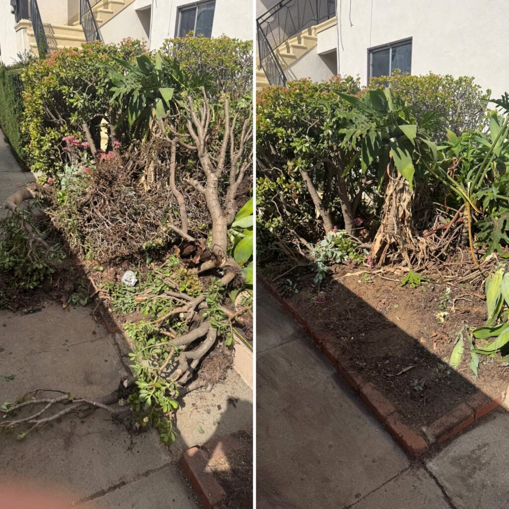 JUNK GIANT Los Angeles yard waste removal